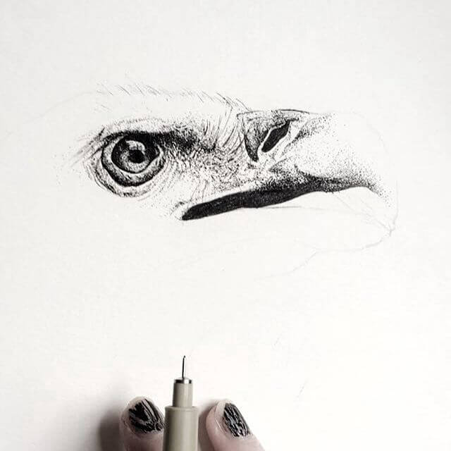 Vulture Culture T-shirt Design