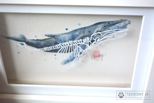 Anatomy-Whale-Painting