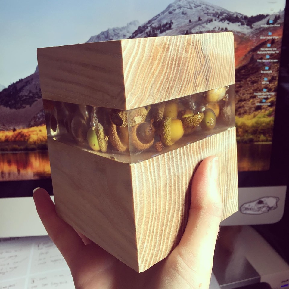 Wood and Resin art taxidermy