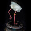 Taxidermy Black necked Stilt