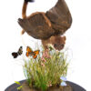 Unique Fantasy Taxidermy Art For sale stoat with wings