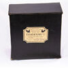 Modern Taxidermy Case with Branded Antique look sticker by Krysten Newby