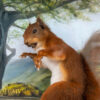 Taxidermy Red Squirrel Inspired By Real Squirrel Nutkin Beatrix Potter