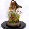 Rogue Taxidermy Art Stoat With Wings For Sale