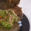 Unique Taxidermy Flying Stoat With Butterfly Field Scene in a glass dome