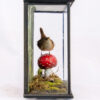 Taxidermy Wren In Glass Case with Original Background Art - Image 4