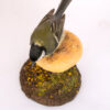 Small Bird Taxidermy of Great Tit on a hand sculpted mushroom made from polymer clay