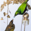 Taxidermy Emerald Starling feeding juvenile Lamprotornis iris