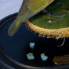 Taxidermy art of emerald glossy starling with real emerald